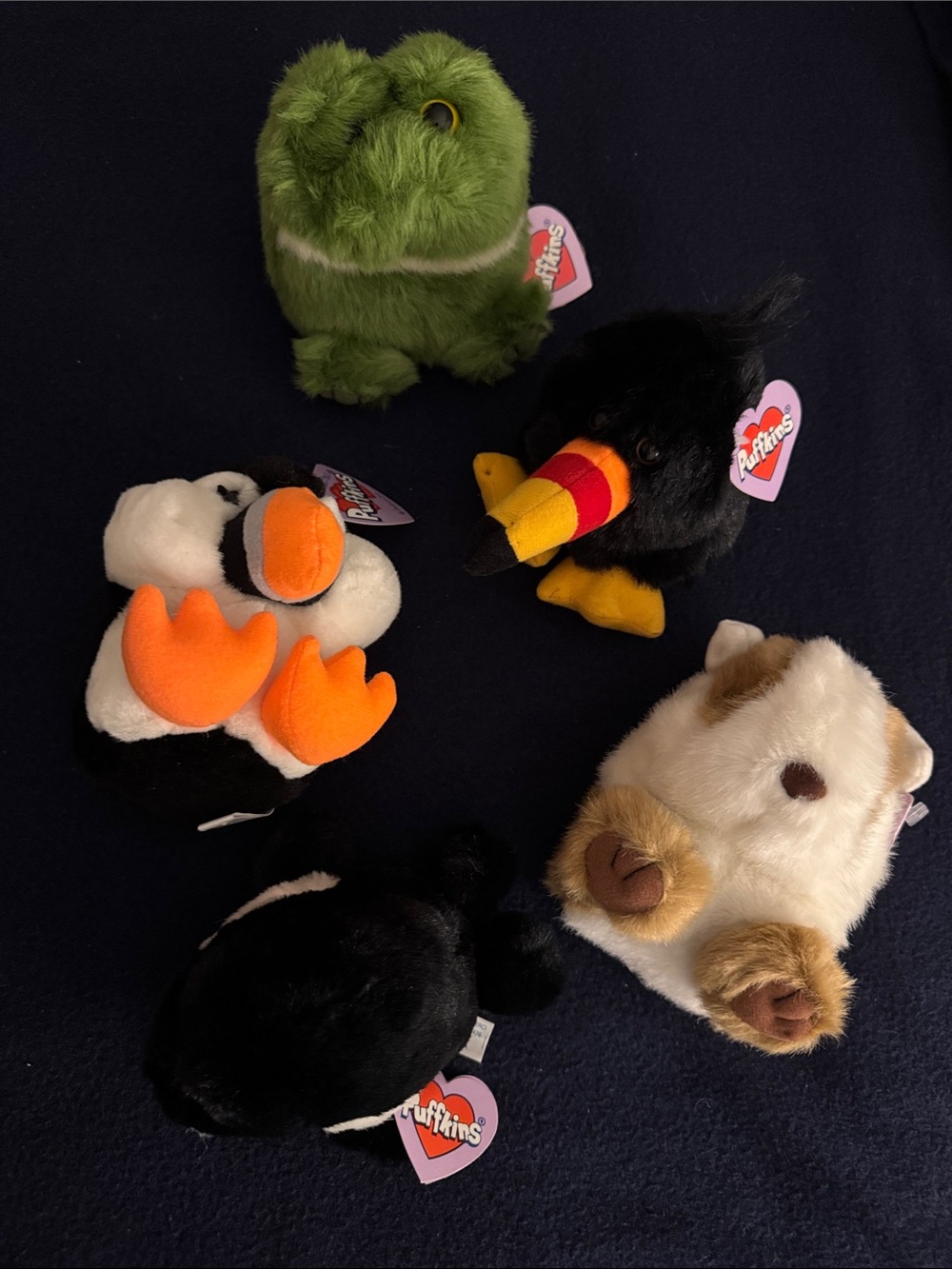 Plush Small Pet Toy - Assorted Colors (Green, Black, White, Orange, Cream)